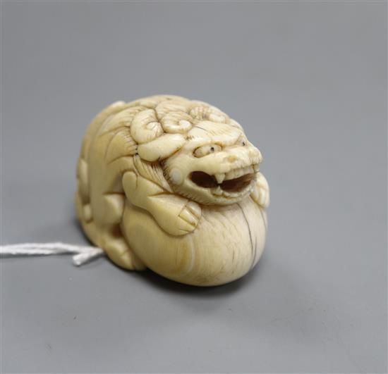 A Japanese ivory netsuke of a shi-shi, Edo period